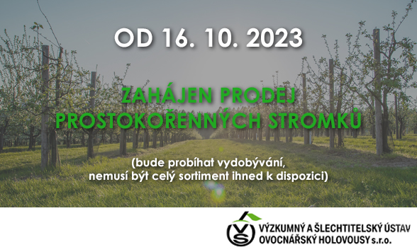 Prodej prostokořenných stromků